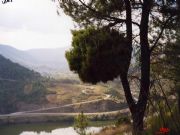 Caprichos de la naturaleza. Petn, Orense